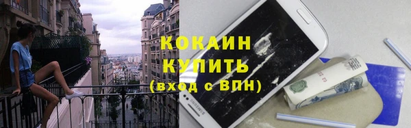 ПСИЛОЦИБИНОВЫЕ ГРИБЫ Верея