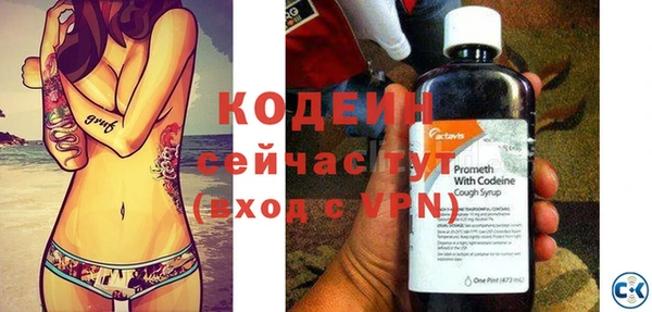ПСИЛОЦИБИНОВЫЕ ГРИБЫ Верея