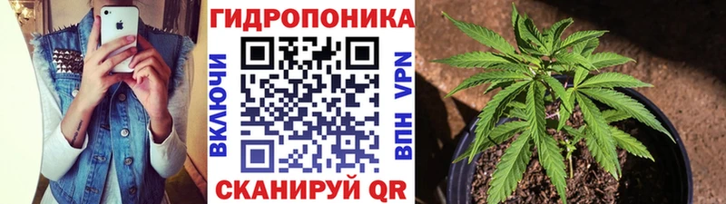 купить наркоту  кракен как зайти  Бошки Шишки THC 21%  Химки 